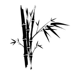 Obraz premium Bamboo branches in traditional ink style with black and white colors - 