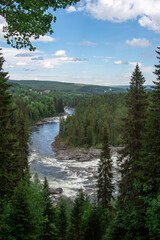 Landscape photo of river in forest