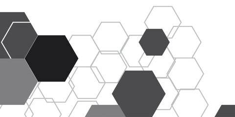 Black and white hexagon geometric patterned background vector