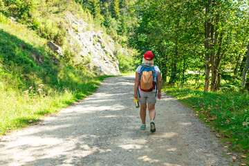 An active senior woman is seen walking alone along a scenic forest path surrounded by lush greenery...