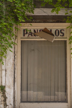 Lefkosia, Cyprus - 25 June 2025: View of a weathered window frame, overtaken by verdant vines, framing a softly draped curtain, hinting at untold stories within..