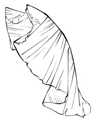 Banana Leaf Sketch Elegant Black and White Line Art