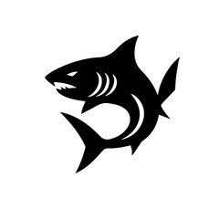 shark vector illustration
