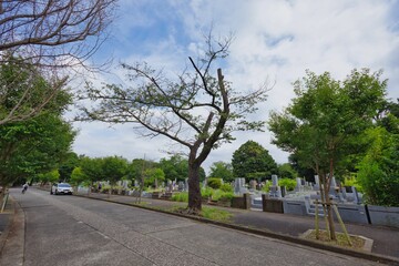 霊園墓地の風景