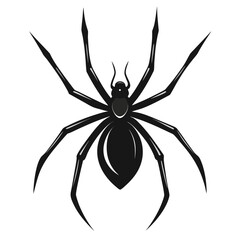 Obraz premium Stylized black widow spider silhouette with eight legs and detailed body