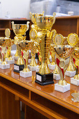 A variety of golden trophies with marble bases displayed on a table, ready to be awarded.