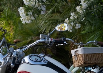Vintage motorcycle and palm reflection in rearview mirror