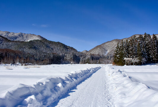 冬の晴れた日の雪道と山の風景が美しい