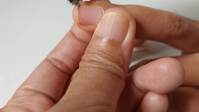close up of someone cutting the dirty boy's nail using a nail clipper isolated on white background