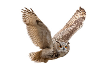 Elegant owl with outstretched wings soars through the air, captured in stunning detail against transparent background