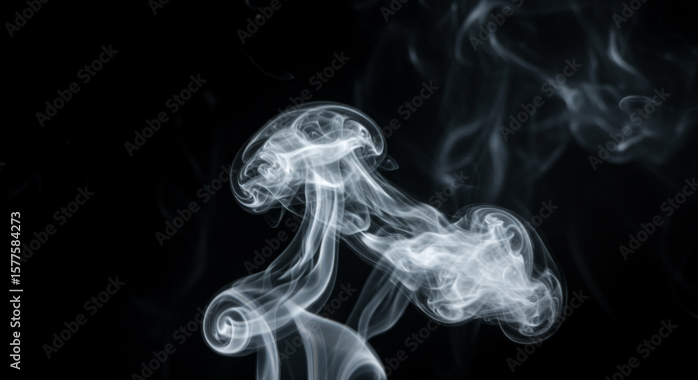 Poster wispy white smoke curls and swirls against a stark black background, creating abstract forms.