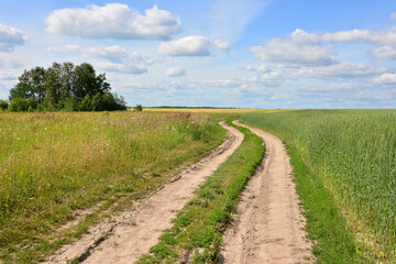 empty dirt road winding through fields with a tree under a blue sky with fluffy clouds