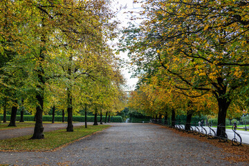 Walking in Hofgarten Park in Munich on an autumn day, Germany