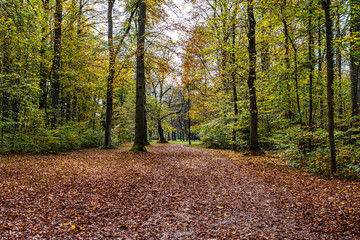 Golden autumn view in famous Munich relax place - Englischer Garten. Munich, Bavaria, Germany