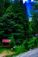 Wooden swing with red roof nestled among evergreen trees on a gravel path. Surrounded by dense forest and rocks, the tranquil scene evokes rustic charm, playfulness, and peaceful retreat vibes.