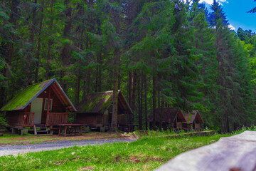 Row of moss-roofed wooden cabins nestled in a dense forest. Surrounded by tall trees, gravel paths,...