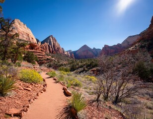 spring view on the nature trail in snow canyon state park in utah