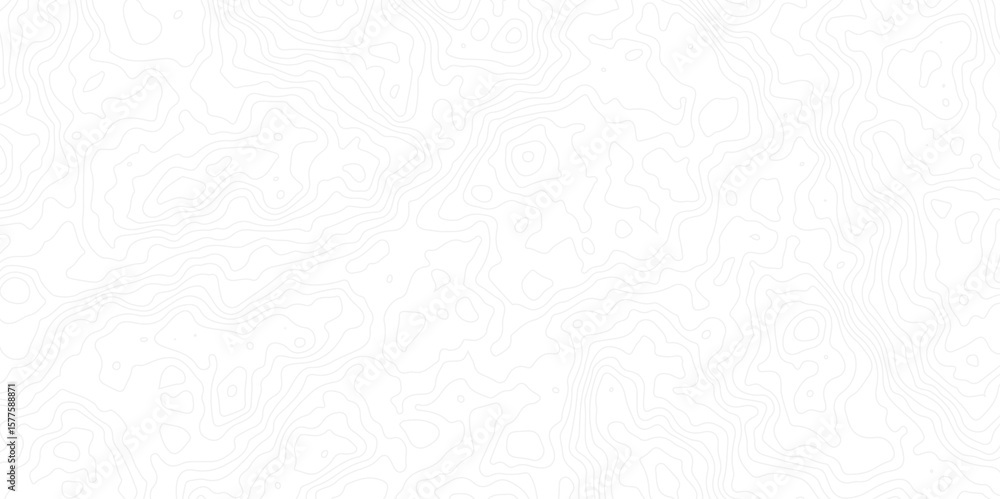Poster minimal white topographic contour map background with subtle gray elevation lines. perfect for geogr