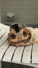 Rotten Carved Pumpkin