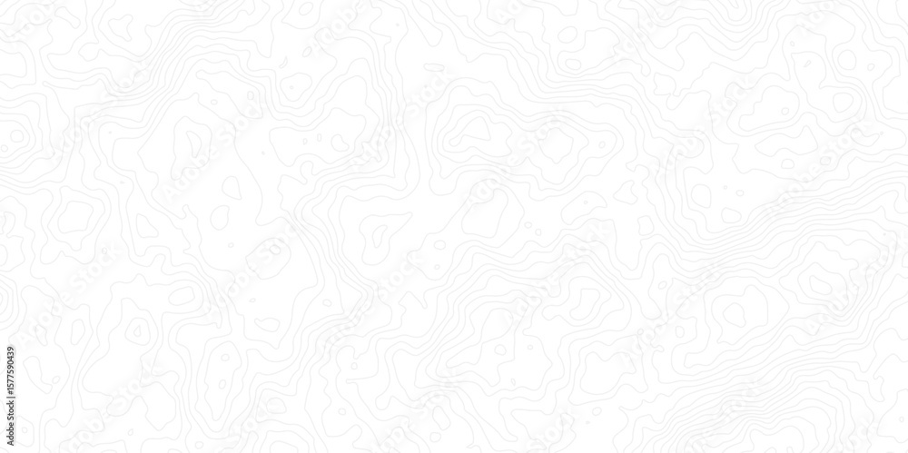 Poster minimal white topographic contour map background with subtle gray elevation lines. perfect for geogr