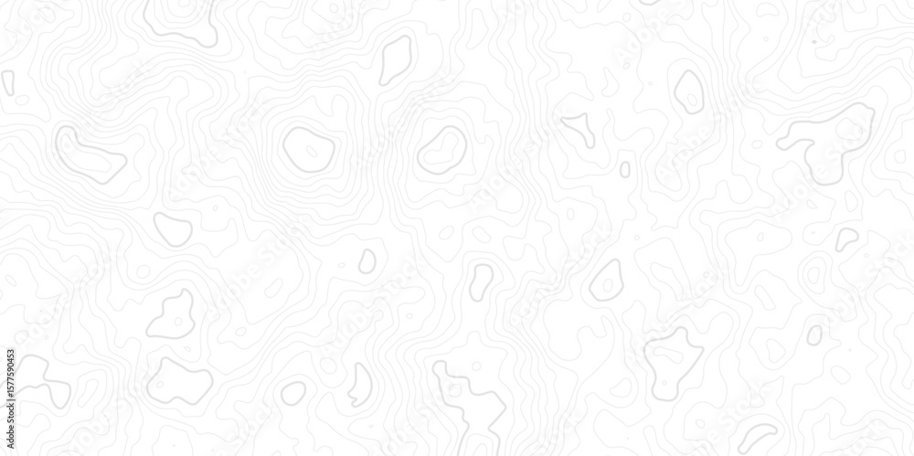 Poster minimal white topographic contour map background with subtle gray elevation lines. perfect for geogr