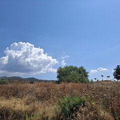Natura