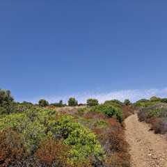 Obraz premium Natura