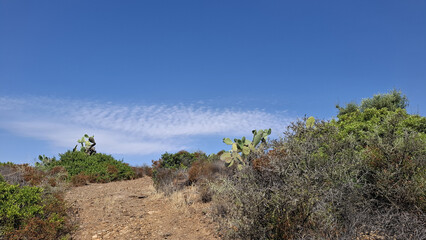 Natura