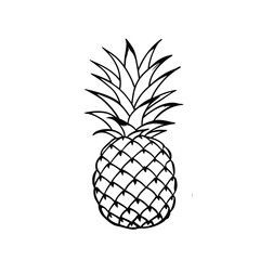 A pineapple on white background