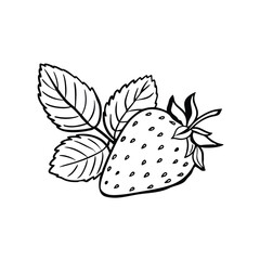  A Strawberry on white background