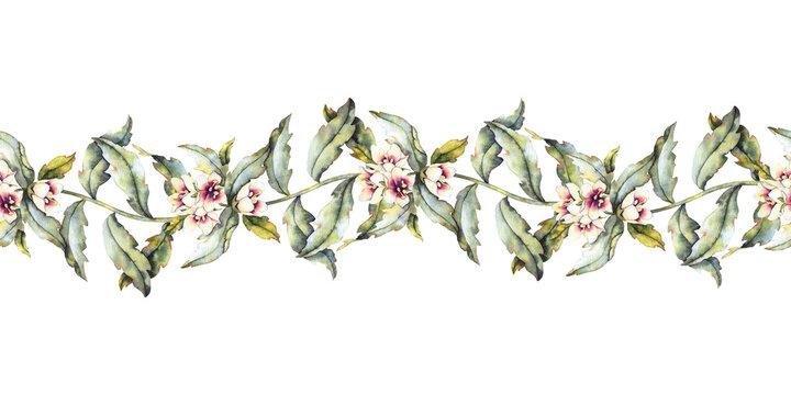 Seamless watercolor border with henbane plant featuring green leaves and flowers with purple in botanical style. for apothecary branding herbal cosmetics gothic stationery and esoteric packaging.