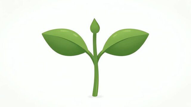 Minimalist Plant Growth Animation from Seed to Flower