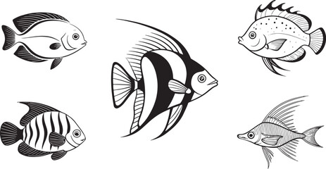 set of fish vector