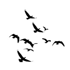 Flight of freedom showcased in a flock of birds gracefully soaring through the sky, their silhouettes creating a minimalist, elegant design against a black background, conveying movement and peace.