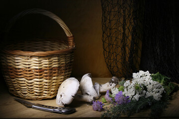 Still life with mushrooms and a bouquet of yarrow on the table