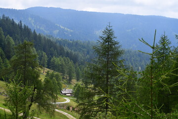 Sch&ouml;ne Landschaft bei Proveis in S&uuml;dtirol mit Blick auf eine Almh&uuml;tte 
