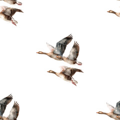 Waterclor illustration of flock of geese isolated on transparent background seamless pattern