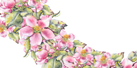Watercolor floral frame banner with pink apple blossoms and green leaves in botanical style. for invitations greeting card wedding stationery cosmetic branding seasonal sale and eco product packaging.