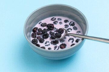 Fresh Blackberries in Creamy Yogurt Bowl on Pastel Blue Background