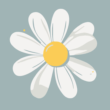 Simple Daisy Illustration with Soft Colors A Cheerful Springtime Bloom for Creative Projects