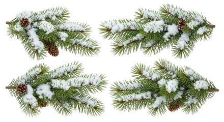 christmas tree branches