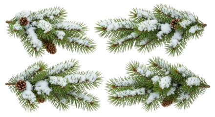 christmas tree branches