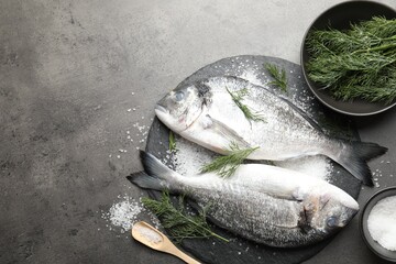 Organic seafood. Fresh raw dorado fish, salt and dill on grey table, flat lay. Space for text