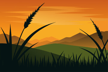 wheat field at sunset