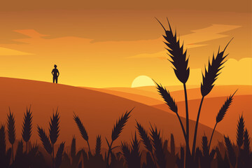 wheat field at sunset