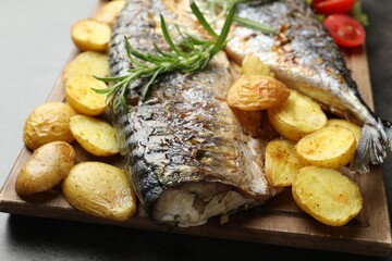 Tasty roasted mackerels with spices and vegetables on grey table, closeup. Homemade seafood dish