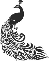 Fototapeta premium vector illustration of a peacock