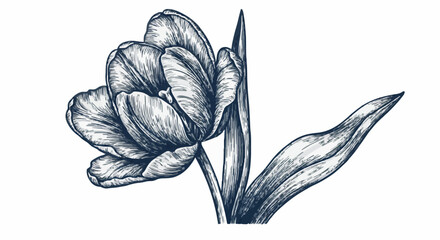 Tulip flower porcelain decoration design (dark blue)