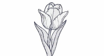 Tulip flower porcelain decoration design (dark grey)