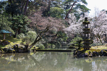 Naklejka premium Japanese garden pond at beginning of spring season